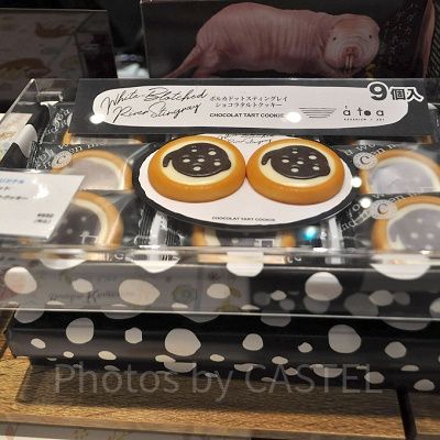 ポルカドット　チョコタルトクッキー