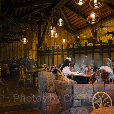 ポリネシアンテラス・レストラン：内装