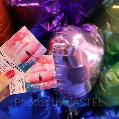 うんこミュージアムのチケット