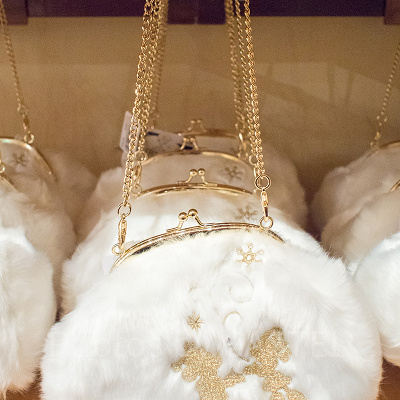 ポーチ（入り口部分）