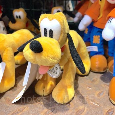 ポージープラッシー（プルート）