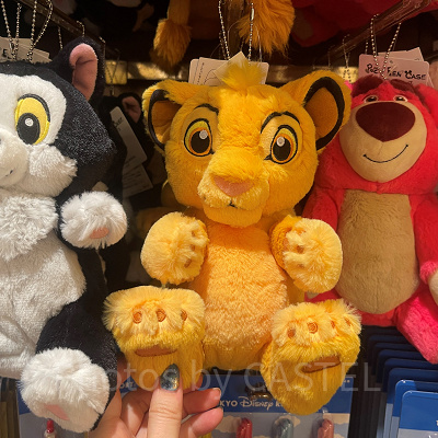 ポージーペンケース（シンバ）