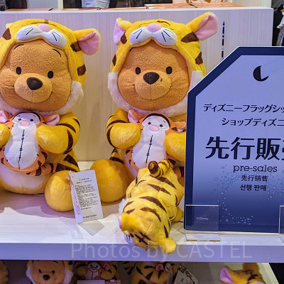ディズニーフラッグシップ東京の先行販売