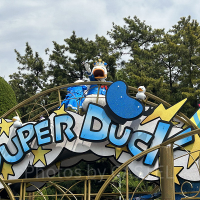 予想②ドナルド