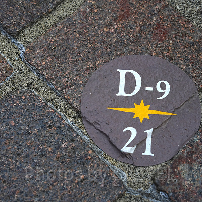 プレミアアクセス鑑賞位置の目印