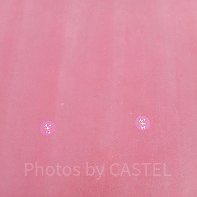 プレミアアクセス鑑賞位置の目印