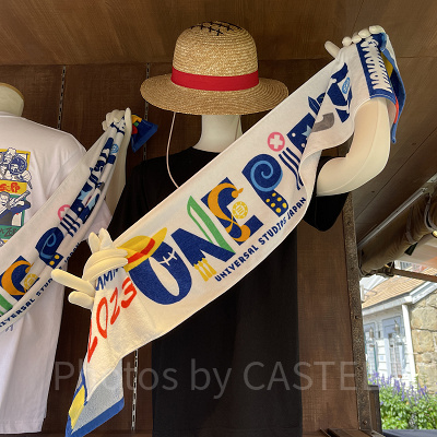 プレミアムサマータオル（USJワンピースグッズ）