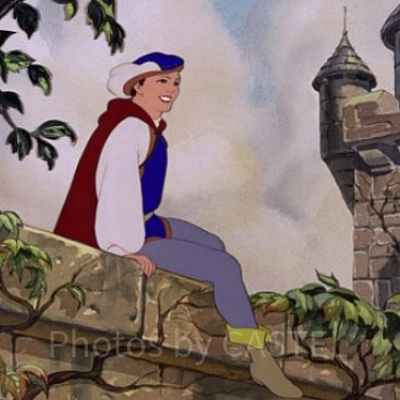 チャーミング王子