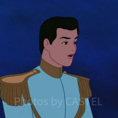 チャーミング王子