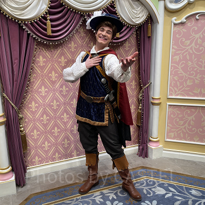 プリンス・チャーミング（プリス王子）