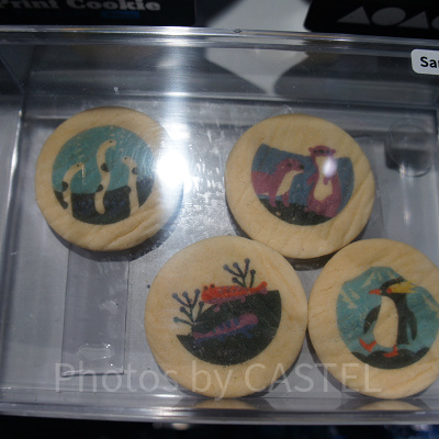 プリントクッキーの絵柄