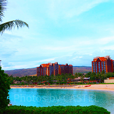 AULANI ディズニー　ビーチタオル 大　アウラニ　ディズニー　リゾート 初めての方必見！】アウラニのプール利用方法を解説 - ふわっと