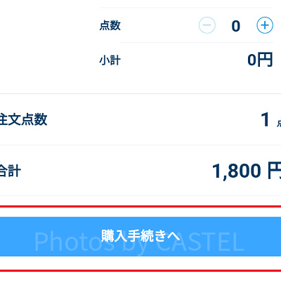購入手続きへ進む