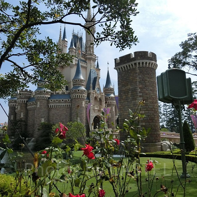 ディズニーでプロポーズ