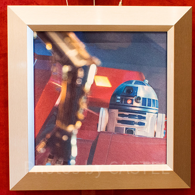 R2-D2＆C3-POフォトパネル