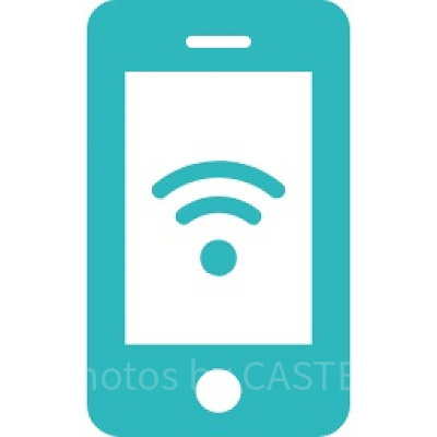 ディズニーリゾートの電波事情：フリーWi-FiのIDなど