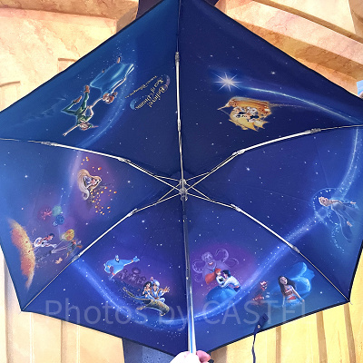 晴雨兼用傘（ビリーヴグッズ）