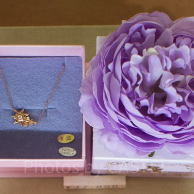 ラプンツェルネックレス（10K）