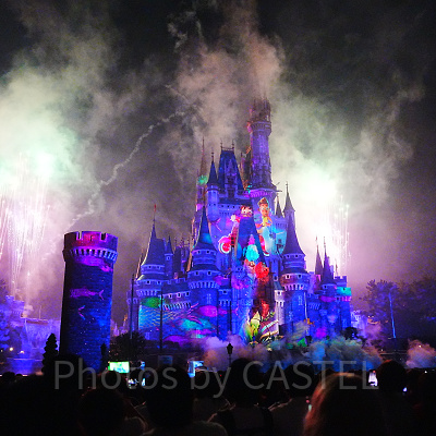 プレミアアクセス鑑賞エリアから見たReach for the Stars