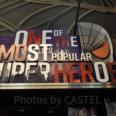 リアルグッズ（REAL GOODS)装飾／スパイダーマン