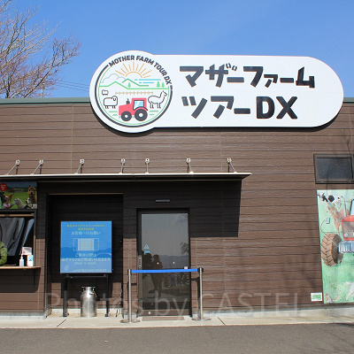 マザーファームツアーDXの受付