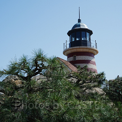 ディズニーシーでおすすめのデートスポット