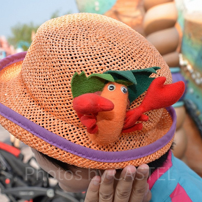 夏ディズニーに必要なおすすめグッズ