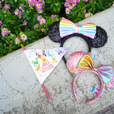 ディズニー40周年のフォトスポットでオススメの撮影方法