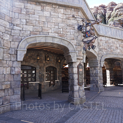 リフレスコス外観（ディズニーシー）