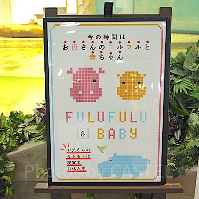 入れ替え制のミニカバ水槽