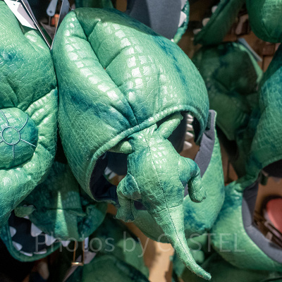 レックスのファンキャップ（裏）