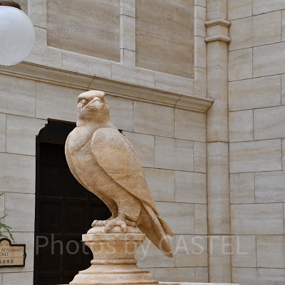 アーリーエントリーチケットでソアリンに乗ろう！