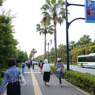 ディズニーシーまでの道