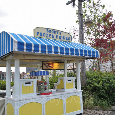 ローズオブフェイム入口フードカート（アミティビレッジ側）