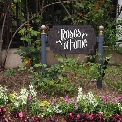 ローズオブフェイム／USJ