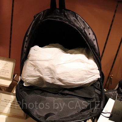 リュックサック　中