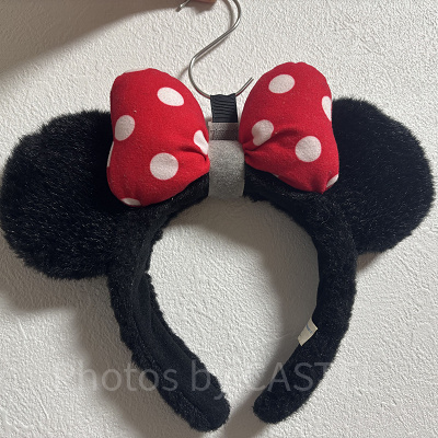 S字フックとケーブルバンド