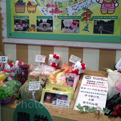 サンリオエキスポ展示　農業