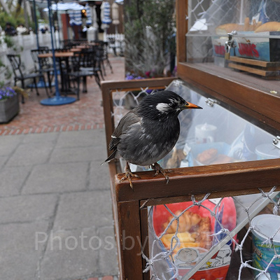 USJアミティエリアの風景