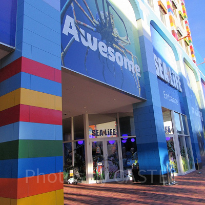 シーライフ名古屋