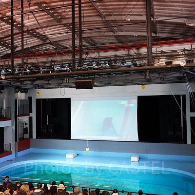 アシカショーの会場