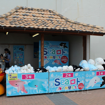 シャチとベルーガのぬいぐるみが当たるSeaロト