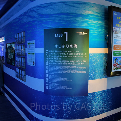 はじまりの海