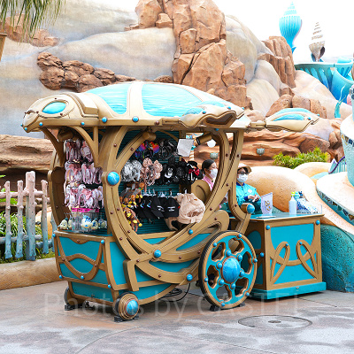 シータートル・スーヴェニア