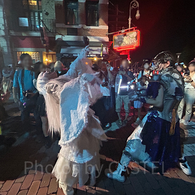 治安部隊“レグルス・プライド”