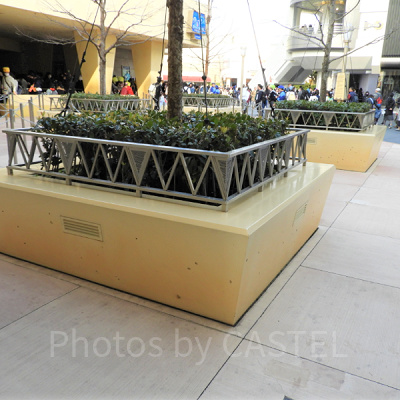 一見ふつうの植え込み