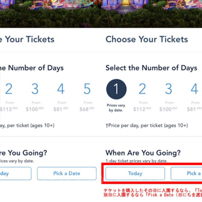 チケットの日数を選択し、1dayチケットなら入園日を決定する