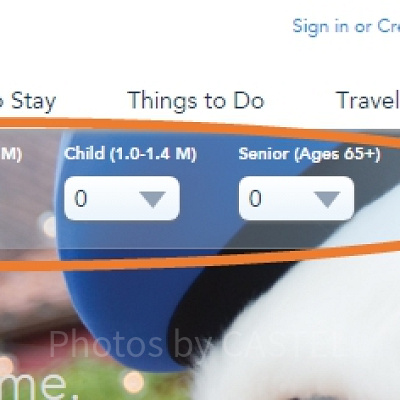 上海ディズニー公式ページのトップ画面です