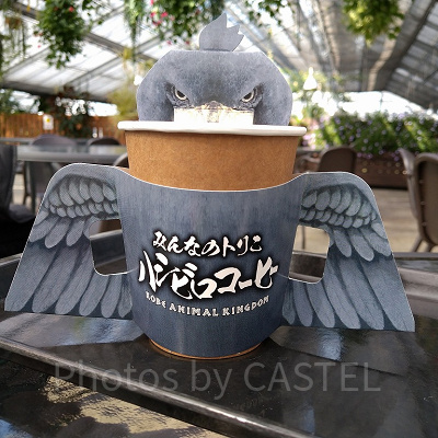 ハシビロコーヒー／神戸どうぶつ王国