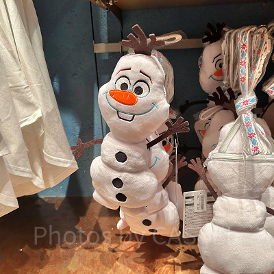 ショルダーバッグ(アナとエルサのフローズンジャーニーグッズ)